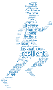 SD75 Word Cloud